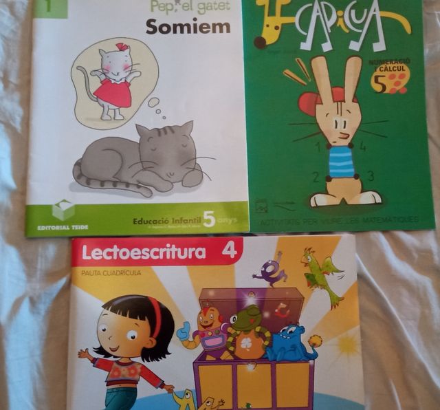 LOTE cuadernillos para el verano Ed. Infantil