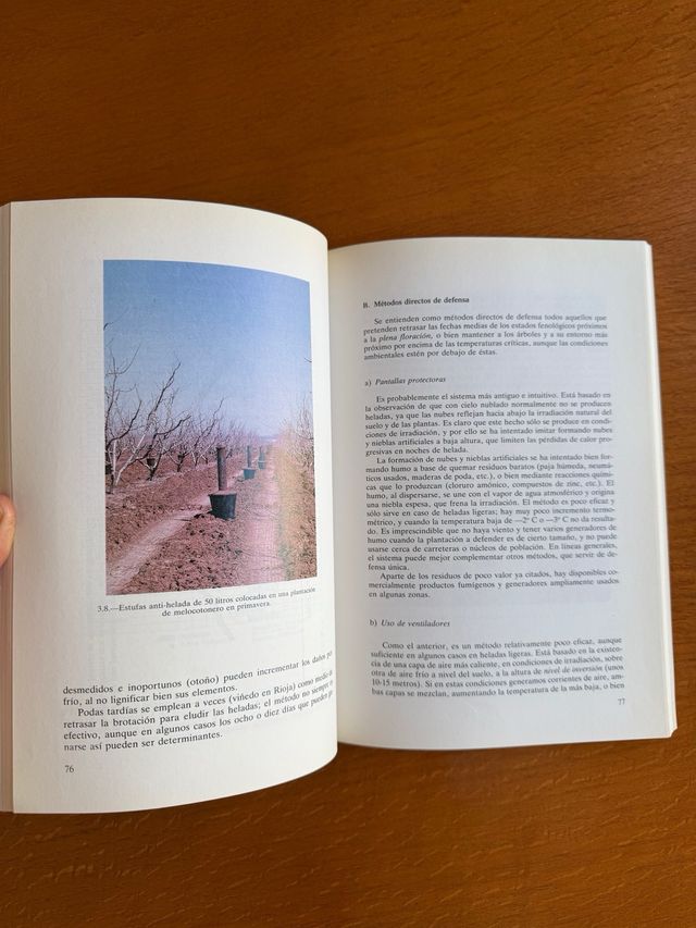 TRATADO DE ARBORICULTURA FRUTAL. VOL. II: LA EC...