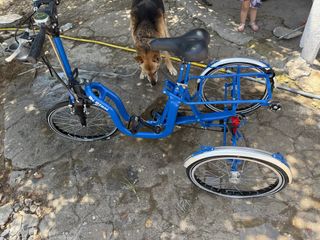 Triciclo Plegable Di Blasi