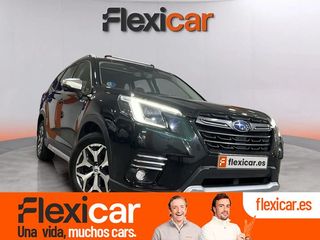 Subaru Forester 2.0i Hybrid CVT Executive Plus