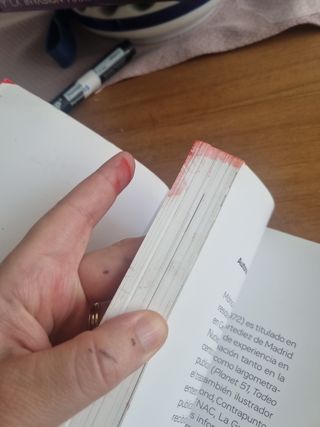 REY (Premio EDEBÉ de Literatura Infantil 2022)