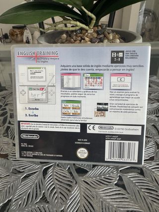 Nintendo DS English Training