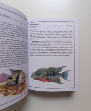 Peces de acuario - Aves de jaula.