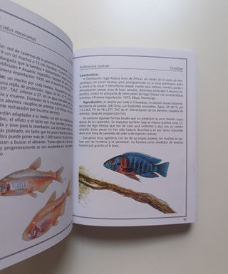 Peces de acuario - Aves de jaula.