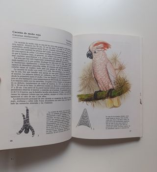 Peces de acuario - Aves de jaula.