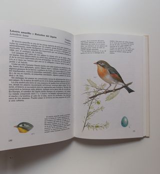 Peces de acuario - Aves de jaula.