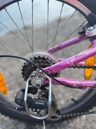 Bicicleta trek niña 20”