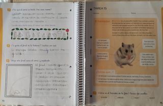 Libro de Lengua 2º primaria Santillana en Catalán