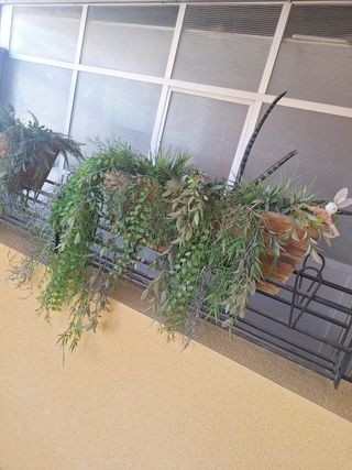 Plantas artificiales