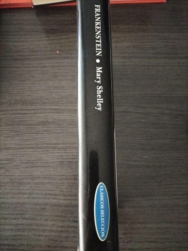 Frankenstein (Clásicos selección series) (Spani...