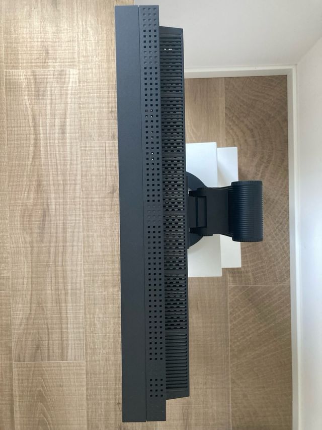 Monitor PRO Eizo CG223W con viseras