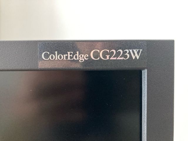 Monitor PRO Eizo CG223W con viseras