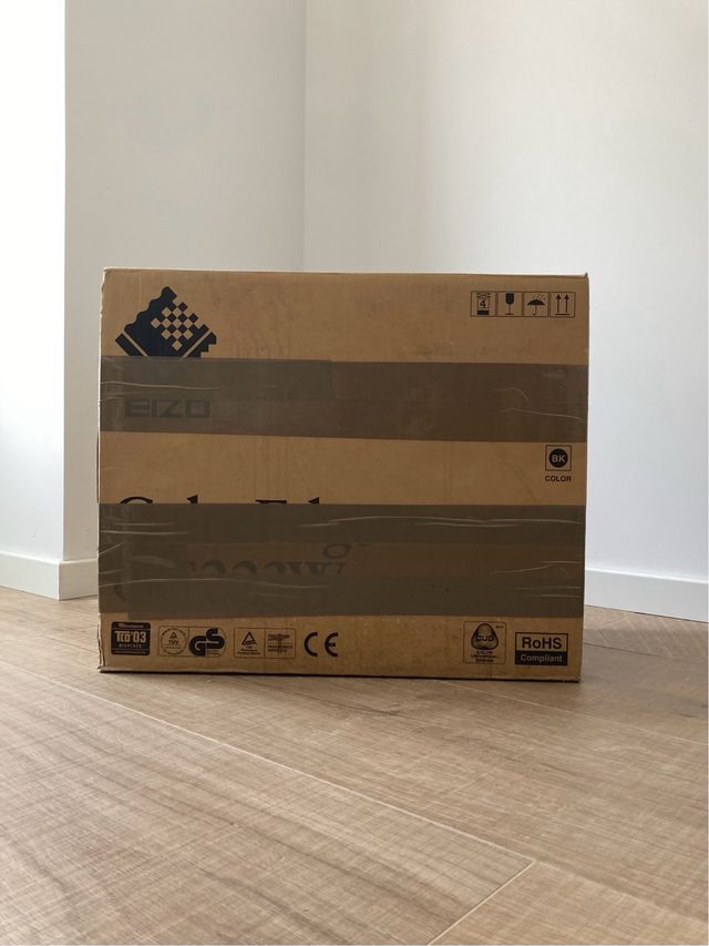 Monitor PRO Eizo CG223W con viseras