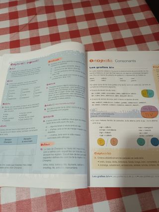 Llengua catalana i Literatura 1er ESO