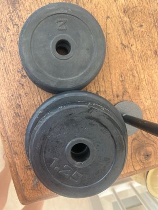 Barra gimnasio - discos peso