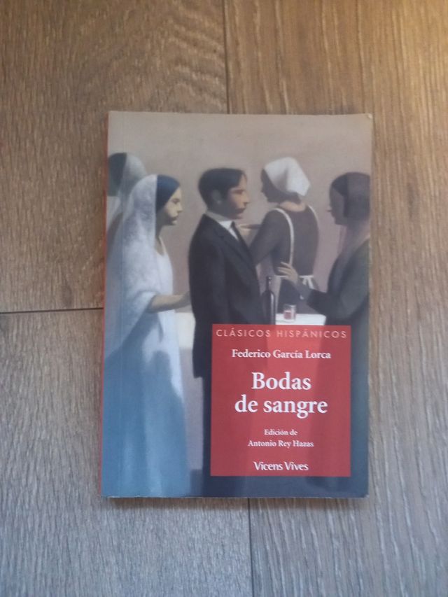 Bodas De Sangre (clasicos Hispanicos) (Spanish ...