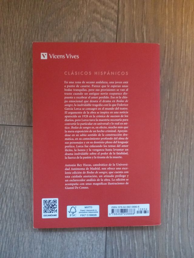 Bodas De Sangre (clasicos Hispanicos) (Spanish ...