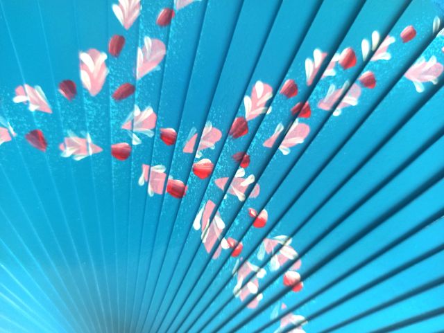 Abanico pintado a mano + funda. Aires de Verano