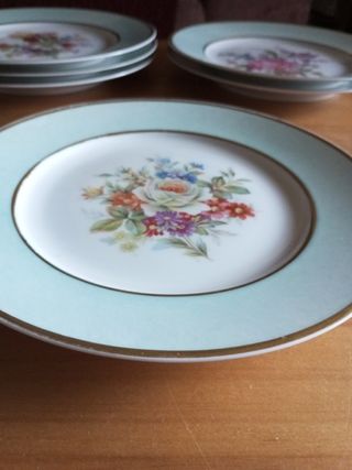 Platos porcelana Royal worcester nuevos