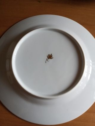 Platos porcelana Royal worcester nuevos