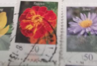 Sellos Alemania: Flores CAMBIO POR CUALQUIER sello