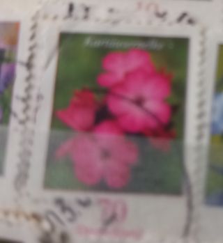 Sellos Alemania: Flores CAMBIO POR CUALQUIER sello