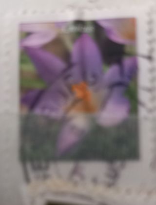 Sellos Alemania: Flores CAMBIO POR CUALQUIER sello