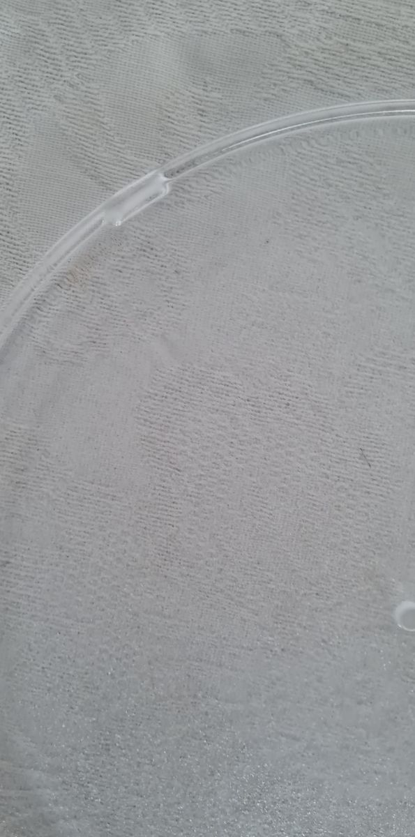 Plato cristal microondas