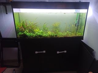 Acuario 300L completo