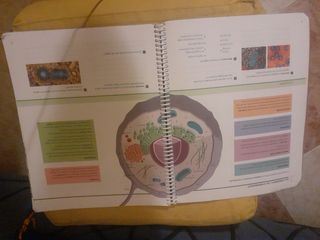 BIOLOGIA I GEOLOGIA COMPETENCIES I CONTINGUTS C...