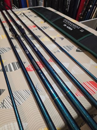 CAÑAS DAIWA TOURNAMENT MASTERISE II 35-425H