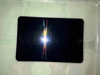 iPad mini negro - Tableta