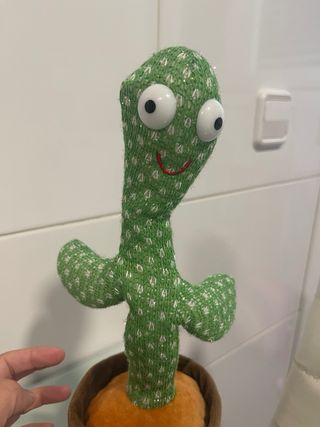 Cactus bailarín musical
