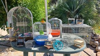 4 Jaulas pajaros - periquitos, canarios, hamster