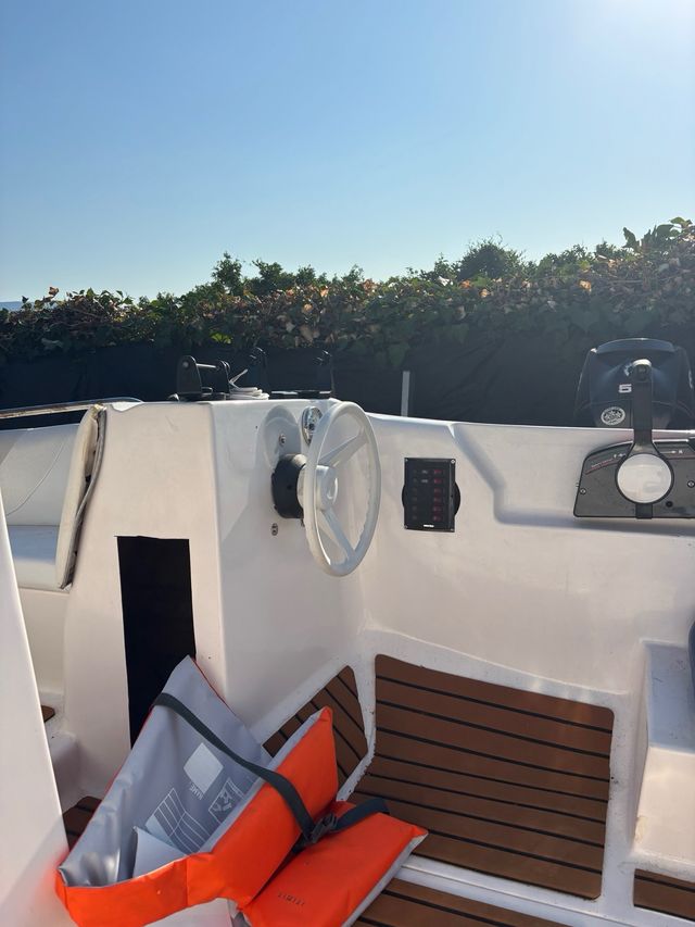 Barco Sea Ray: Motor nuevo