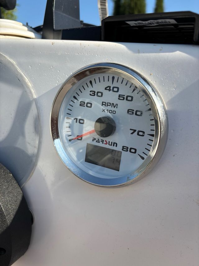 Barco Sea Ray: Motor nuevo