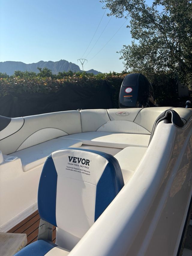 Barco Sea Ray: Motor nuevo