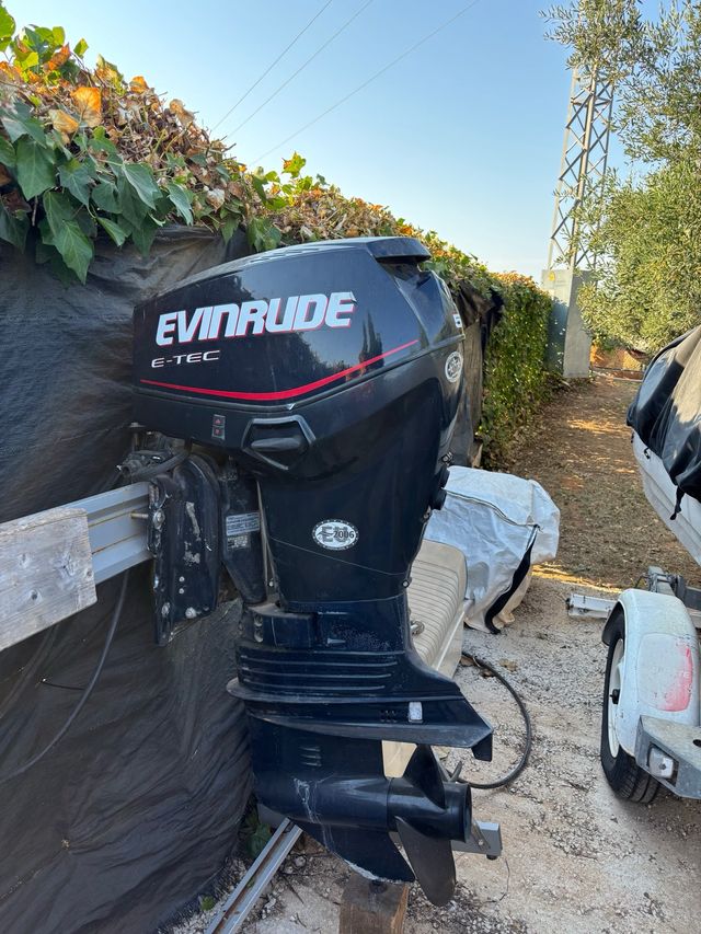 Motor fueraborda Evinrude E-TEC 50cv