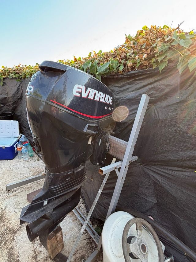 Motor fueraborda Evinrude E-TEC 50cv