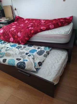 Cama nido 90cm color chocolate