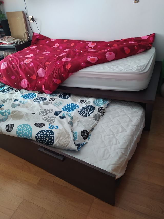 Cama nido 90cm color chocolate