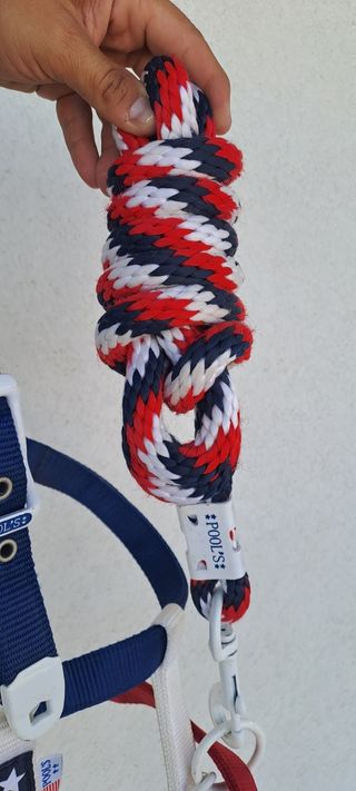 Capezza cavallo equitazione america pool's