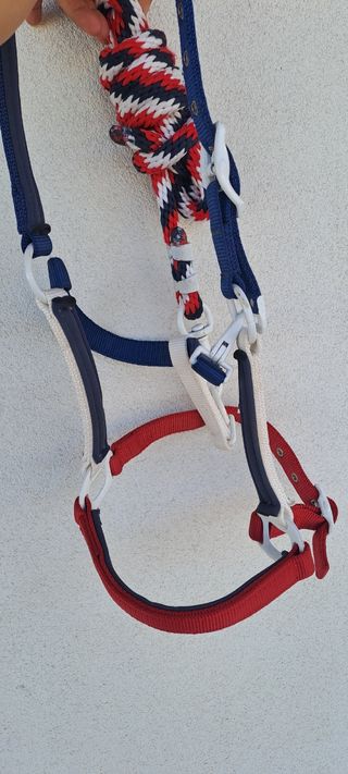 Capezza cavallo equitazione america pool's