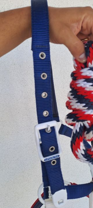 Capezza cavallo equitazione america pool's