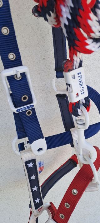 Capezza cavallo equitazione america pool's