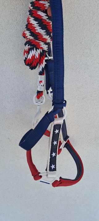 Capezza cavallo equitazione america pool's