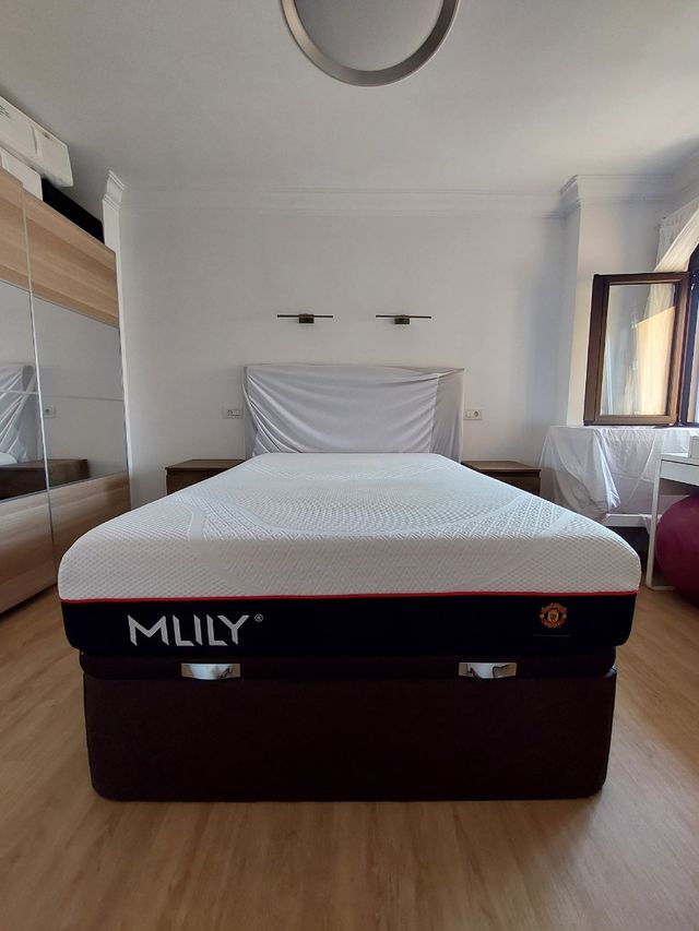 Canapé cama + colchón MLILY