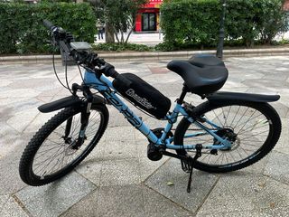 Bicicleta eléctrica montaña