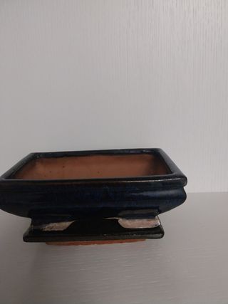 Vaso Bonsai blu scuro - Ceramica con sottovaso.  