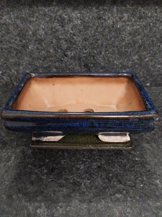 Vaso Bonsai blu scuro - Ceramica con sottovaso.  